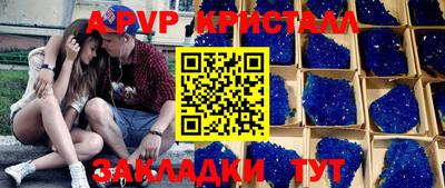 спиды Гай