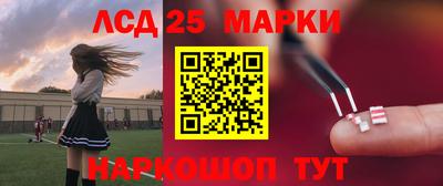 спиды Гай
