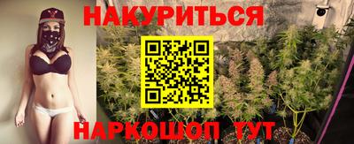 спиды Гай