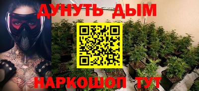 спиды Гай