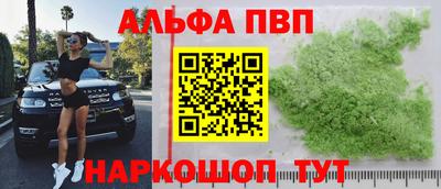 спиды Гай