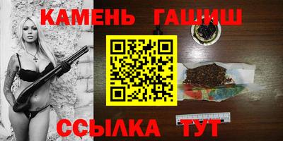 спиды Гай