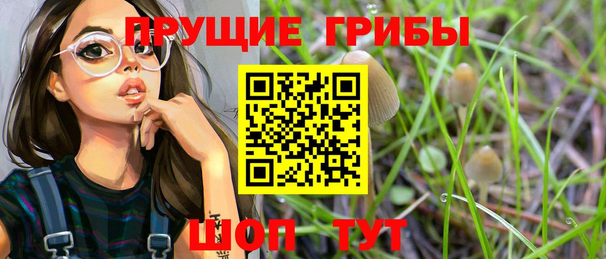 Вышний Волочёк  Галлюциногенные грибы ЛСД  Вход с VPN 